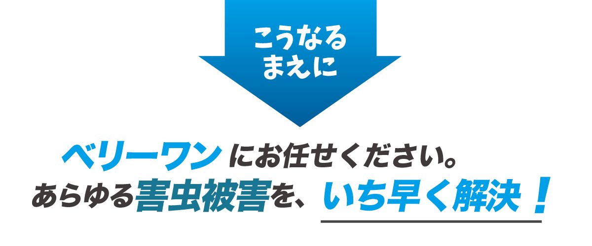 こうなるまえに